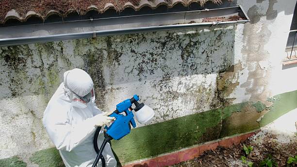 Top rated local Mold Remediation specialists in Millheim, PA